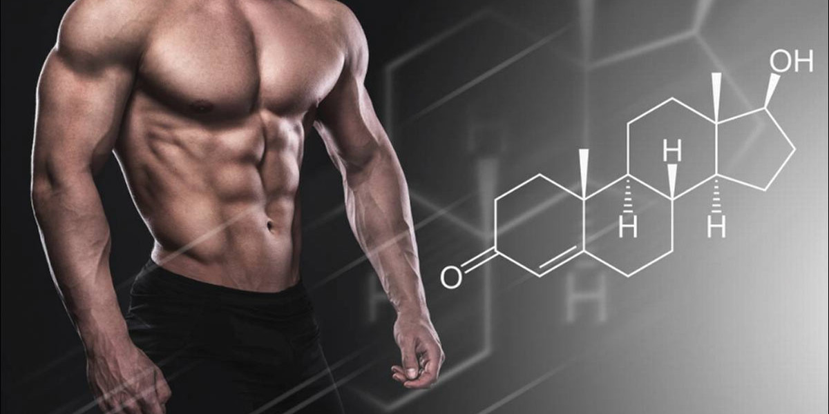 Where to Buy Testosterone: My Experience and Advice