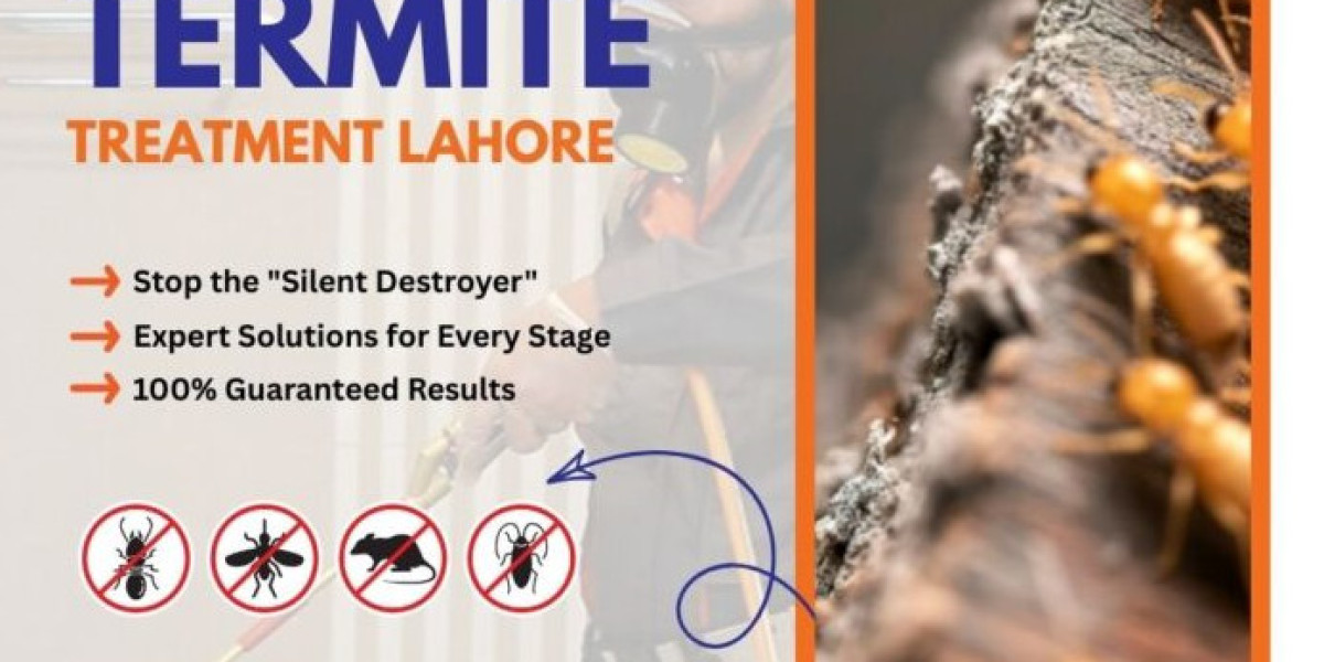 Protecting Valuable Properties Through Professional Termite Prevention Solutions