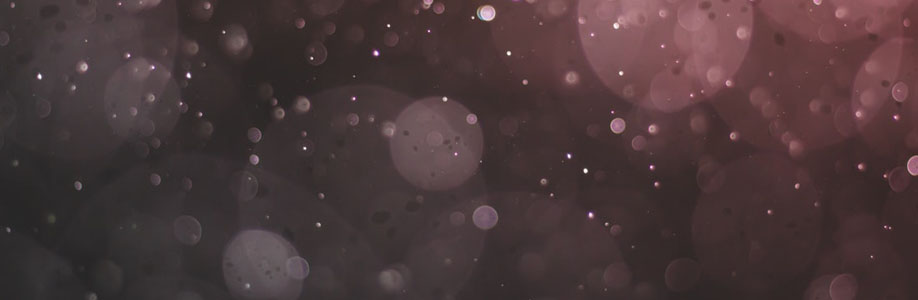 Josh Bowers Cover Image